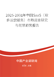 2025-2031年中國SaaS（軟件運營服務）市場調(diào)查研究與前景趨勢報告