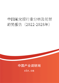 中國氟化膜行業(yè)分析及前景趨勢報(bào)告（2022-2028年）