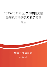 2025-2031年全球與中國(guó)火焰處理機(jī)市場(chǎng)研究及趨勢(shì)預(yù)測(cè)報(bào)告