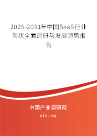 2025-2031年中國SaaS行業(yè)現(xiàn)狀全面調(diào)研與發(fā)展趨勢報告