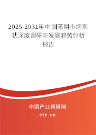 2025-2031年中國苯肼市場現(xiàn)狀深度調(diào)研與發(fā)展趨勢分析報告