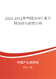 2026-2032年中國DVR行業(yè)市場調(diào)研與趨勢分析