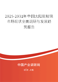 2025-2031年中國太陽能玻璃市場現(xiàn)狀全面調(diào)研與發(fā)展趨勢報告