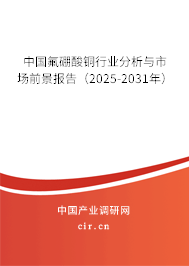 中國(guó)氟硼酸銅行業(yè)分析與市場(chǎng)前景報(bào)告（2025-2031年）