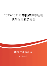 2025-2031年中國磁體市場現(xiàn)狀與發(fā)展趨勢報告