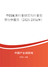 中國(guó)氟苯行業(yè)研究與行業(yè)前景分析報(bào)告（2025-2031年）