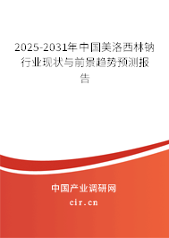 2025-2031年中國(guó)美洛西林鈉行業(yè)現(xiàn)狀與前景趨勢(shì)預(yù)測(cè)報(bào)告