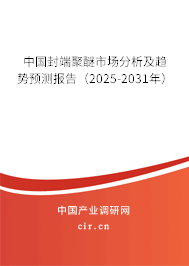 中國封端聚醚市場分析及趨勢預測報告（2025-2031年）