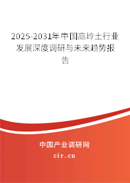 2025-2031年中國(guó)高嶺土行業(yè)發(fā)展深度調(diào)研與未來(lái)趨勢(shì)報(bào)告