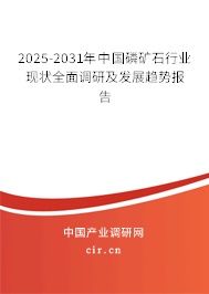 2025-2031年中國磷礦石行業(yè)現(xiàn)狀全面調研及發(fā)展趨勢報告