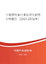 寧夏摩托車行業(yè)現(xiàn)狀與趨勢分析報告（2025-2031年）