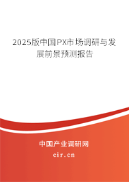 2025版中國PX市場調研與發(fā)展前景預測報告