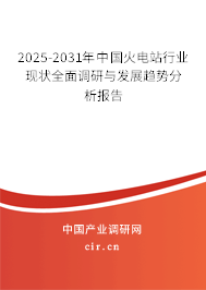 2025-2031年中國火電站行業(yè)現(xiàn)狀全面調(diào)研與發(fā)展趨勢分析報(bào)告