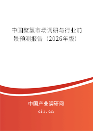 中國聚氯市場調(diào)研與行業(yè)前景預(yù)測報告（2026年版）