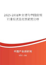 2025-2031年全球與中國(guó)皮帽行業(yè)現(xiàn)狀及前景趨勢(shì)分析